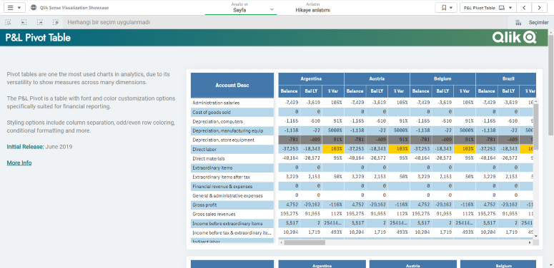 Qlik Sense P&L Pivot Table Chart